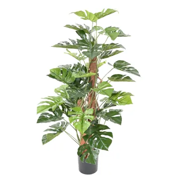 PHILODENDRON artificiel tuteur coco 100 cm ignifugé