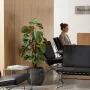 PHILODENDRON artificiel tuteur coco 100 cm ANTI FEU dans une salle d'attente