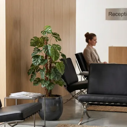 PHILODENDRON artificiel tuteur coco 100 cm ANTI FEU dans une salle d'attente