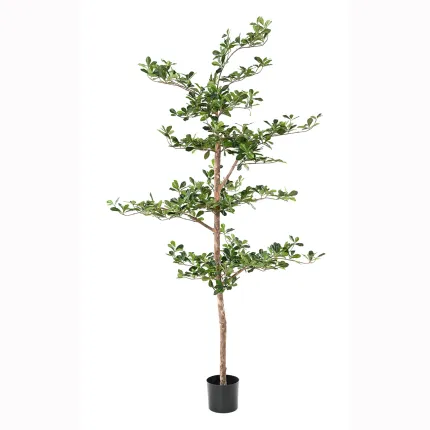 BUCIDA Buceras artificiel 230 cm