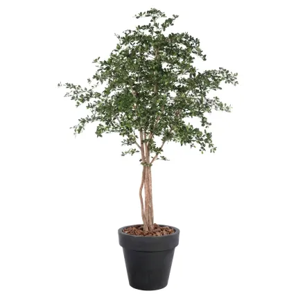 BUCIDA artificiel 300 cm  ANTI FEU