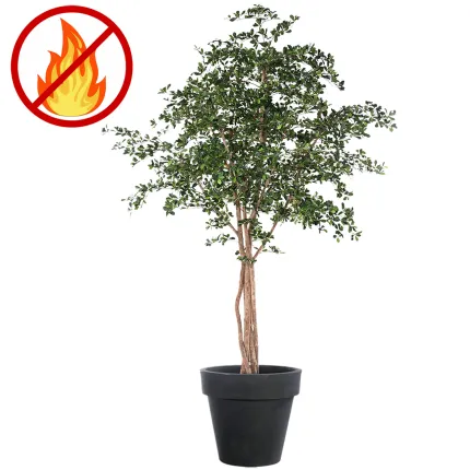 BUCIDA artificiel 300 cm  ANTI FEU dans un pot