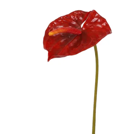 ANTHURIUM artificiel rouge 69 cm