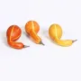 CITROUILLE artificielle coloquinte 14 cm  lot de 3 cote à cote