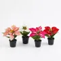 POINSETTIA artificiel 15 cm en pot