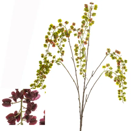 branche Igname du japon ou Dioscorea japonica 110 cm