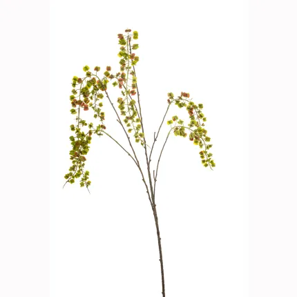 branche Igname du japon ou Dioscorea japonica 110 cm vert en tige