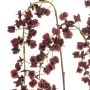 branche Igname du japon ou Dioscorea japonica 110 cm burgundy - détails