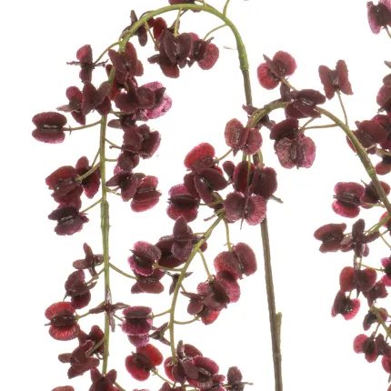 branche Igname du japon ou Dioscorea japonica 110 cm burgundy - détails