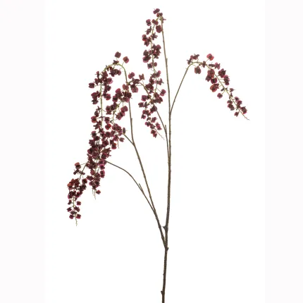 branche Igname du japon ou Dioscorea japonica 110 cm burgundy