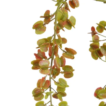 branche Igname du japon ou Dioscorea japonica 110 cm vert - détails fleurs