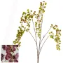 branche Igname du japon ou Dioscorea japonica 110 cm