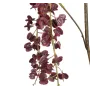 branche Igname du japon ou Dioscorea japonica 110 cm burgundy - détails fleurs