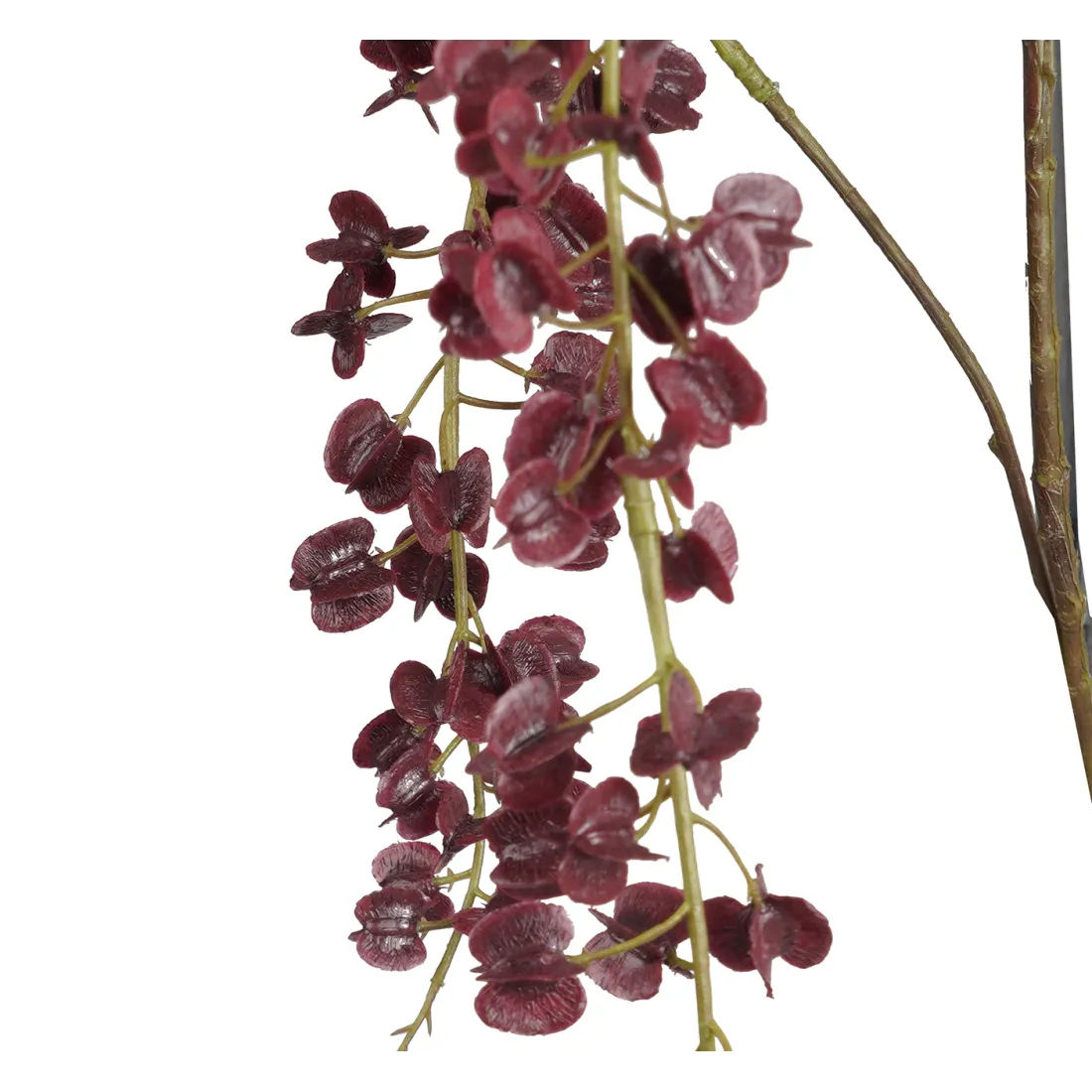 branche Igname du japon ou Dioscorea japonica 110 cm burgundy - détails fleurs
