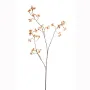 branche de BAIES de fusain ( Euonymus ) 90 cm