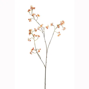 branche de BAIES de fusain ( Euonymus ) 90 cm