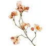 branche de BAIES de fusain ( Euonymus ) 90 cm détails baies