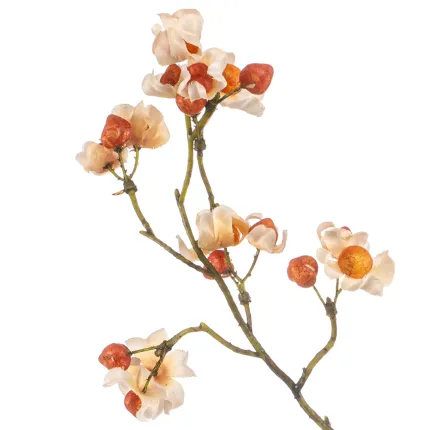 branche de BAIES de fusain ( Euonymus ) 90 cm détails baies