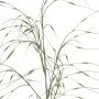 Graminée Stipa artificielle 110 cm