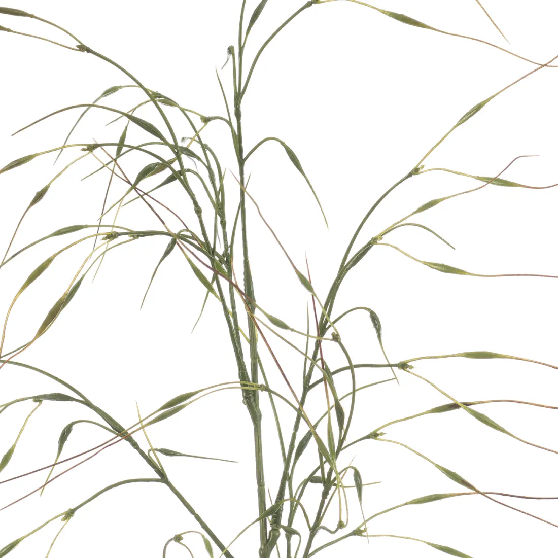 Graminée Stipa artificielle 110 cm