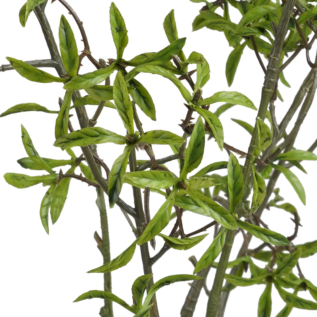 branche artificielle 80 cm - détails feuilles
