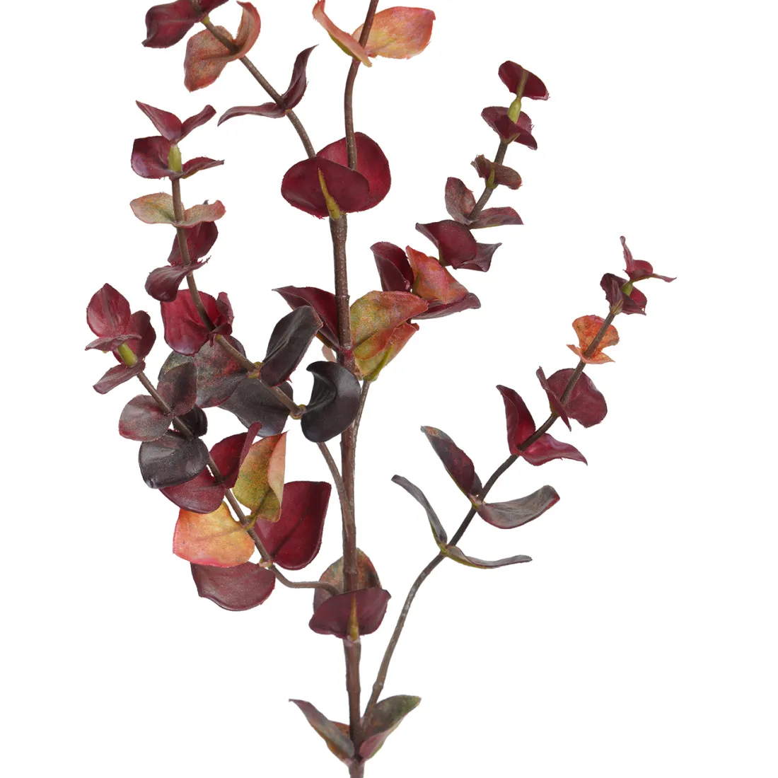 branche artificielle EUCALYPTUS 75 cm détails  feuillage