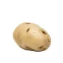 POMME DE TERRE artificielle 9 x 6.5 cm