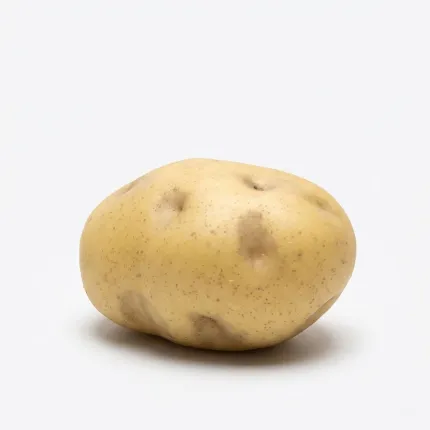 POMME DE TERRE artificielle 10 x 5 cm