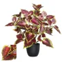 Coléus artificiel 35 cm - 2 coloris