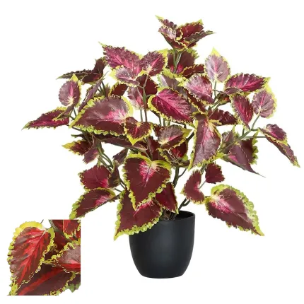 Coléus artificiel 35 cm - 2 coloris