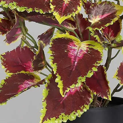 Coléus artificiel 35 cm aubergine détails feuilles