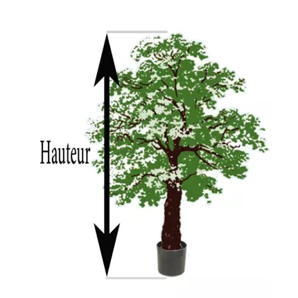hauteur totale