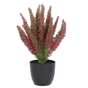 bruyere en pot déco 35 cm