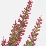 bruyère en pot déco 35 cm - détails fleurs
