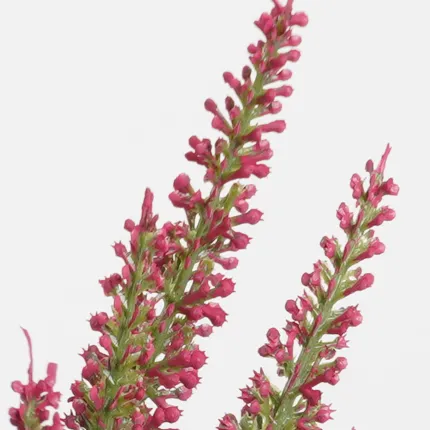 bruyère en pot déco 35 cm - détails fleurs