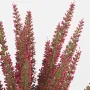 bruyère en pot déco 35 cm - détails fleurs et branches