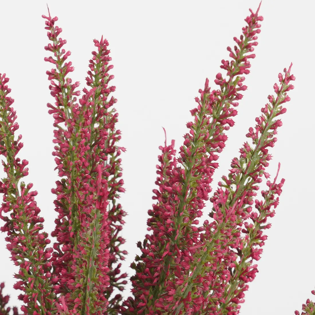 bruyère en pot déco 35 cm - détails fleurs et branches