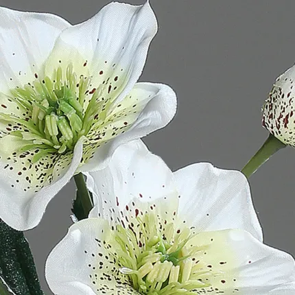 Hellebore ou Rose de Noel artificielle 34 cm détails fleurs