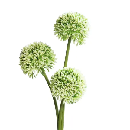 ALLIUM artificiel 44 cm set de 3 crème