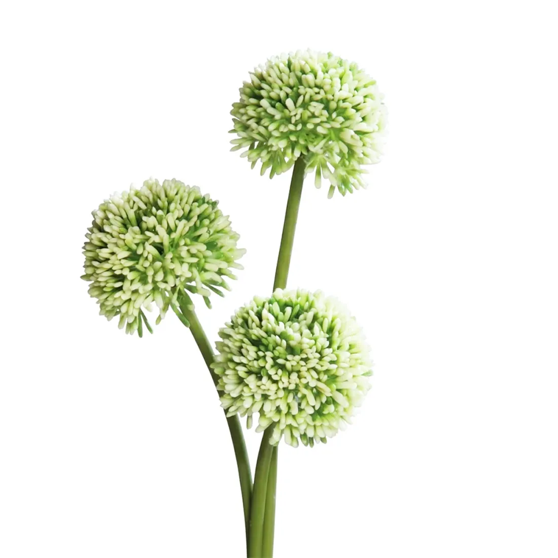 ALLIUM artificiel 44 cm set de 3 crème