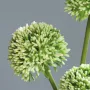 ALLIUM artificiel 44 cm set de 3 crème - fleurs en détails