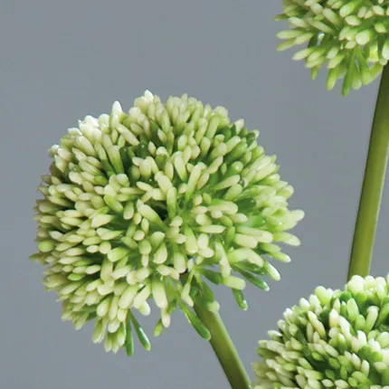 ALLIUM artificiel 44 cm set de 3 crème - fleurs en détails