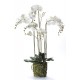 composition Phalaenopsis ORCHIDEE artificielle 130 cm