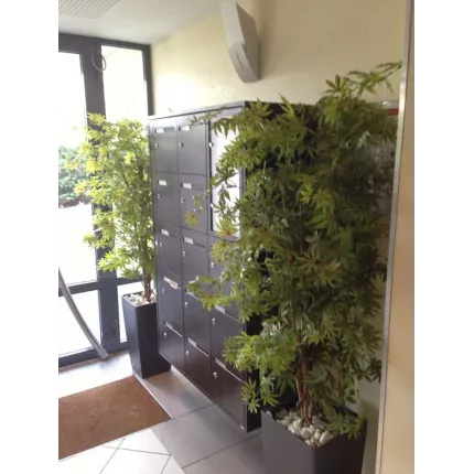 mise en situation dans hall d'entrée ERABLE artificiel DE LUXE 180 cm