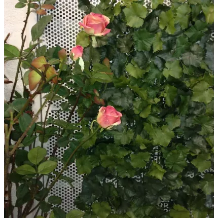 Plaque de VIGNE  artificielle 35 cm avec rosier