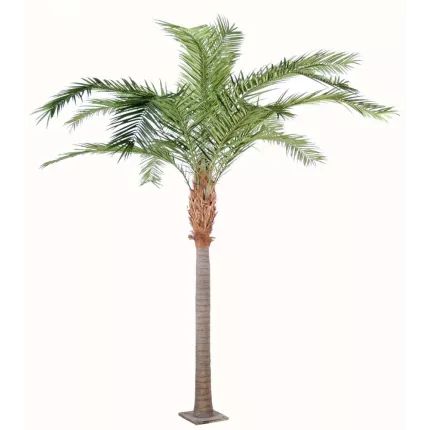 palmier PHOENIX artificiel CANARIENSIS  350 et 420 cm