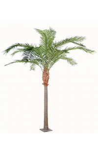 palmier PHOENIX artificiel CANARIENSIS 350 et 420 cm