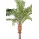 palmier PHOENIX artificiel CANARIENSIS  350 et 420 cm