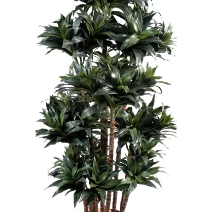 feuillage DRACENA artificiel (ou DRACAENA) FRAGANS Compacta 140/150 cm