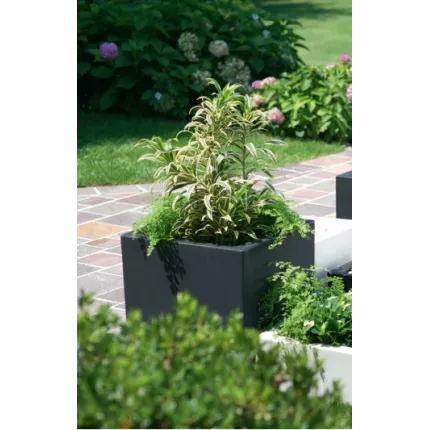 mise en situation pot cube Strevi  grisanthracite dans une entrée de maison en extérieur